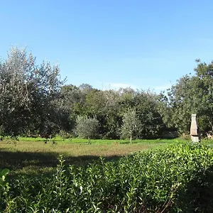 apartman-barbara-liznjan.in-istria.net/